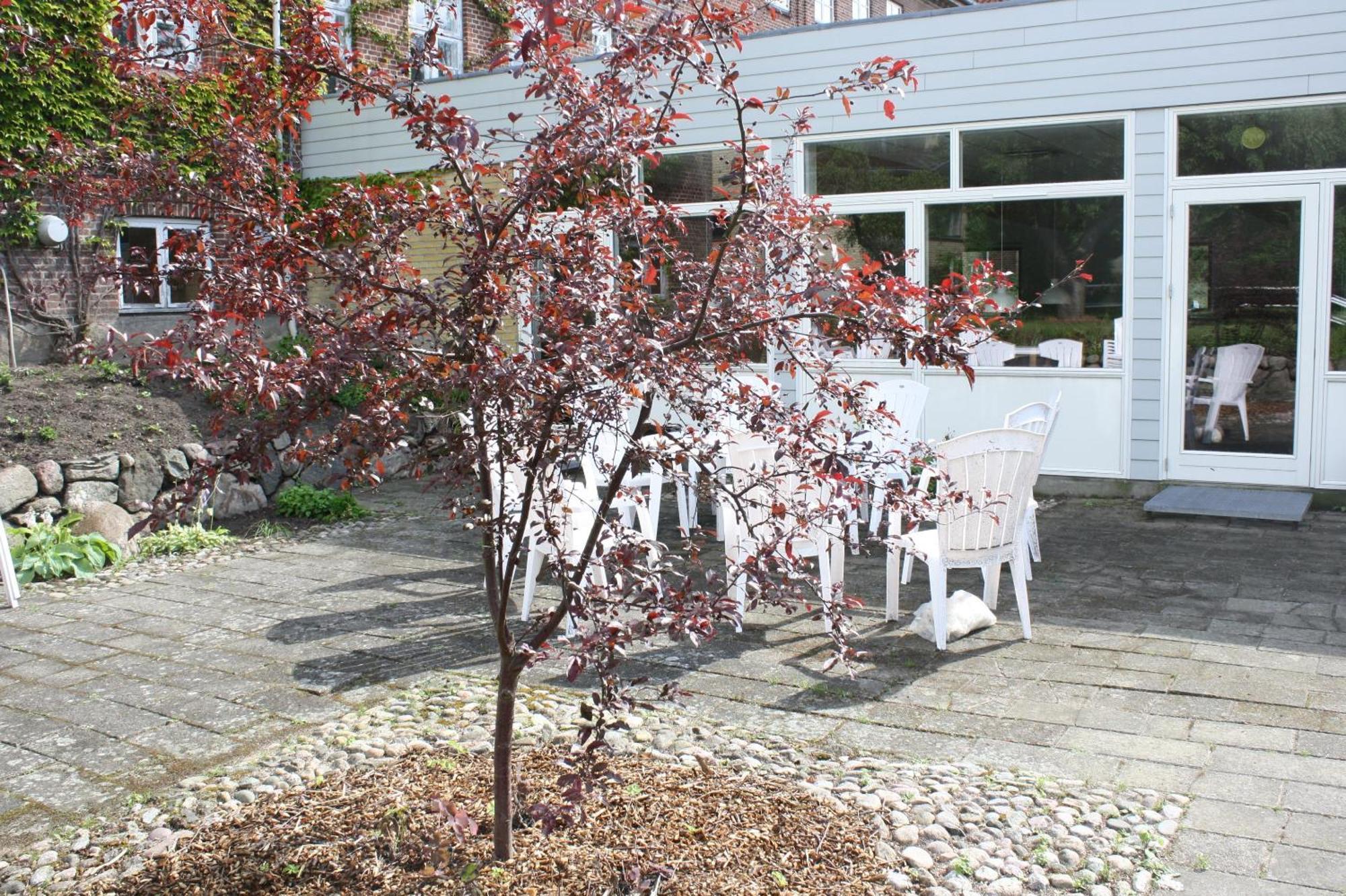 Emmaus Hostel Haslev Exteriör bild